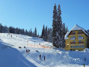 Отель Burg Hotel Feldberg, Фельдберг